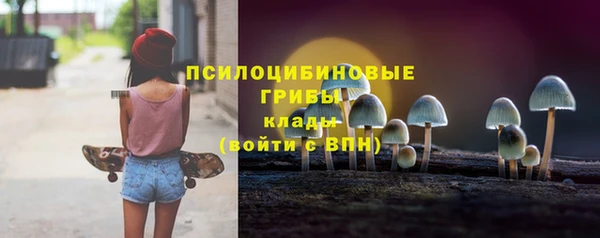 бутират Богданович