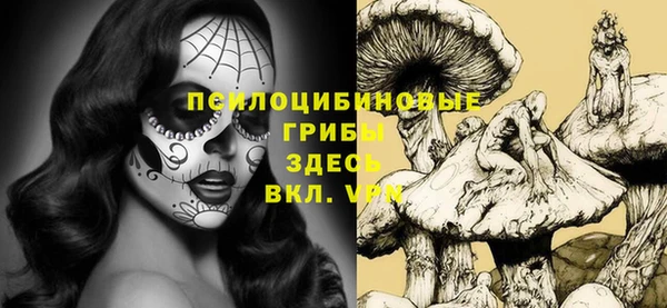 марки nbome Бородино