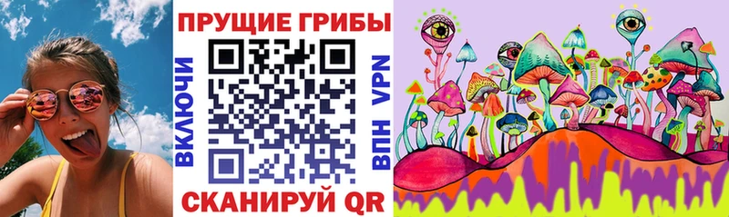 Псилоцибиновые грибы прущие грибы  Сретенск 